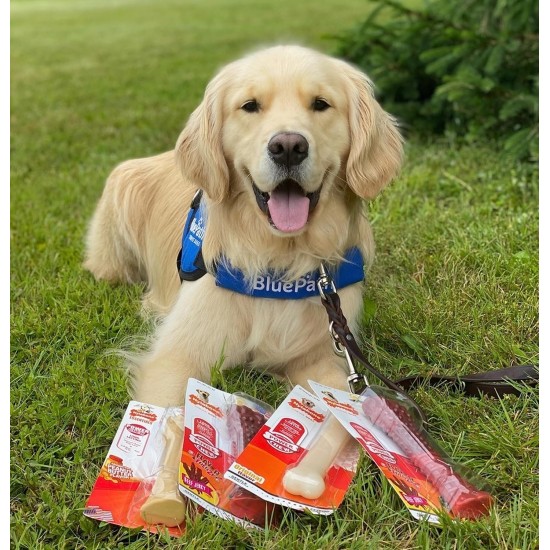 Nylabone Extreme Dog Chew and Tooth Toy Dog Bone Aggressive Strong Chewing Chicken Flavor Extra Large Dogs Over 50 lbs Monster Bone Nylabone Extreme Dog Chew and Tooth Toy Dog Bone Aggressive Strong Chewing Chicken Flavor Extra Large Dogs Over 50 lbs Monster Bone