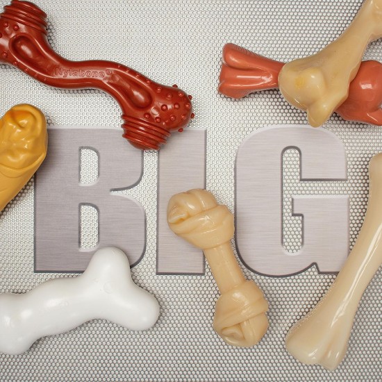 Nylabone Extreme Dog Chew and Tooth Toy Dog Bone Aggressive Strong Chewing Chicken Flavor Extra Large Dogs Over 50 lbs Monster Bone Nylabone Extreme Dog Chew and Tooth Toy Dog Bone Aggressive Strong Chewing Chicken Flavor Extra Large Dogs Over 50 lbs Monster Bone