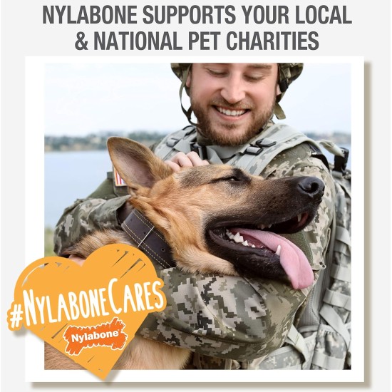 Nylabone Extreme Value Pack Dog Chew Nylabone Extreme Value Pack Dog Chew
