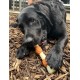 Nylabone Extremely Durable Dog Chew Toy Shish Kebab Chicken Jerky Flavour Clean and Tidy Large Dog Chew Toy for Dogs up to 23kg - Large