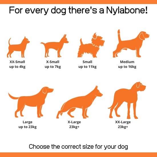 Nylabone Extremely Durable Dog Chew Toy Shish Kebab, Chicken Jerky Flavour, Small, for Dogs up to 11 kg, S Nylabone Extremely Durable Dog Chew Toy Shish Kebab, Chicken Jerky Flavour, Small, for Dogs up to 11 kg, S