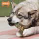Nylabone, Extremely Strong Chewing Effect, Alligator Tail, Dog Toy Made of Durable Nylon, Chicken Flavour, Large, for Dogs up to 23 kg Nylabone, Extremely Strong Chewing Effect, Alligator Tail, Dog Toy Made of Durable Nylon, Chicken Flavour, Large, for Dogs up to 23 kg