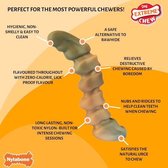 Nylabone, Extremely Strong Chewing Effect, Alligator Tail, Dog Toy Made of Durable Nylon, Chicken Flavour, Large, for Dogs up to 23 kg Nylabone, Extremely Strong Chewing Effect, Alligator Tail, Dog Toy Made of Durable Nylon, Chicken Flavour, Large, for Dogs up to 23 kg
