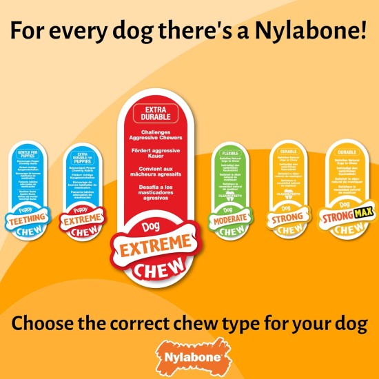 Nylabone, Extremely Strong Chewing Effect, Alligator Tail, Dog Toy Made of Durable Nylon, Chicken Flavour, Large, for Dogs up to 23 kg Nylabone, Extremely Strong Chewing Effect, Alligator Tail, Dog Toy Made of Durable Nylon, Chicken Flavour, Large, for Dogs up to 23 kg