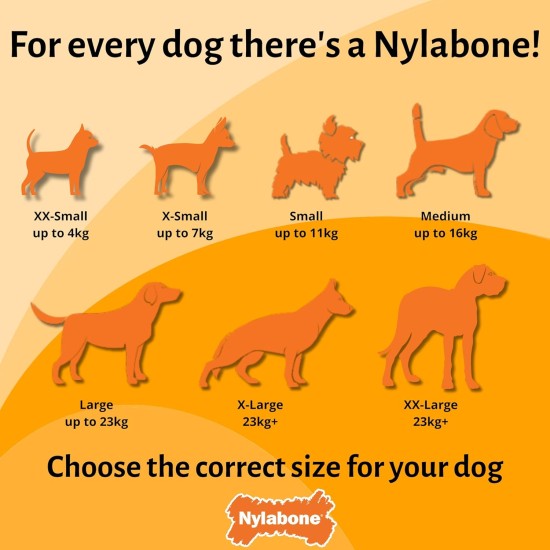 Nylabone, Extremely Strong Chewing Effect, Alligator Tail, Dog Toy Made of Durable Nylon, Chicken Flavour, Large, for Dogs up to 23 kg Nylabone, Extremely Strong Chewing Effect, Alligator Tail, Dog Toy Made of Durable Nylon, Chicken Flavour, Large, for Dogs up to 23 kg