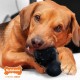 Nylabone Max Strength Rubber Cone Dog Chew Toy, Beef Flavour, Stuff with Treats, Large, for Dogs 0-23 kg Nylabone Max Strength Rubber Cone Dog Chew Toy, Beef Flavour, Stuff with Treats, Large, for Dogs 0-23 kg
