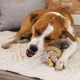 Nylabone Maximum Strength Robust Extreme Gourmet Wishbone Dog Chew Toy with Additional Chicken Flavour throughout Bone, Large, for Dogs 0-23 kg Nylabone Maximum Strength Robust Extreme Gourmet Wishbone Dog Chew Toy with Additional Chicken Flavour throughout Bone, Large, for Dogs 0-23 kg