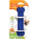 Nylabone, Medium Dental Chew Bone for Dogs, Flexible Chew Bone, Chicken Flavour, Extra Small, Suitable for Dogs up to 7 kg