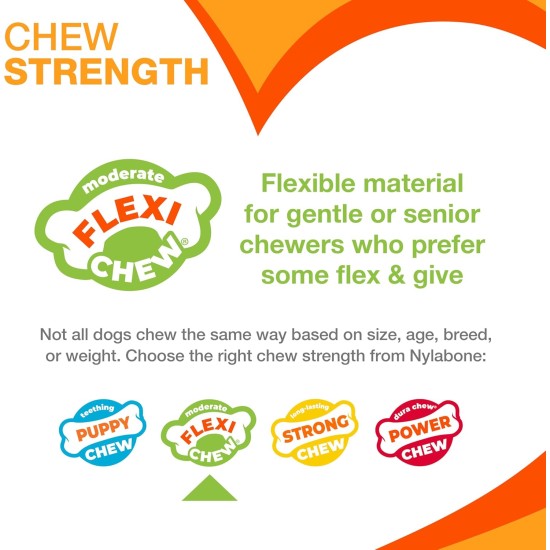 Nylabone, Medium Dental Chew Bone for Dogs, Flexible Chew Bone, Chicken Flavour, Extra Small, Suitable for Dogs up to 7 kg Nylabone, Medium Dental Chew Bone for Dogs, Flexible Chew Bone, Chicken Flavour, Extra Small, Suitable for Dogs up to 7 kg