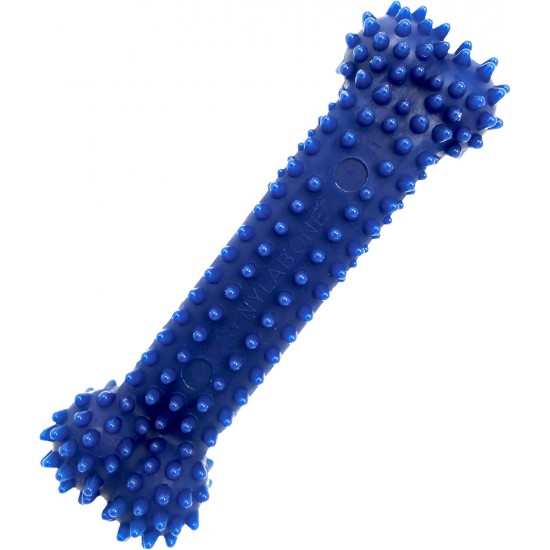 Nylabone, Medium Dental Chew Bone for Dogs, Flexible Chew Bone, Chicken Flavour, Extra Small, Suitable for Dogs up to 7 kg