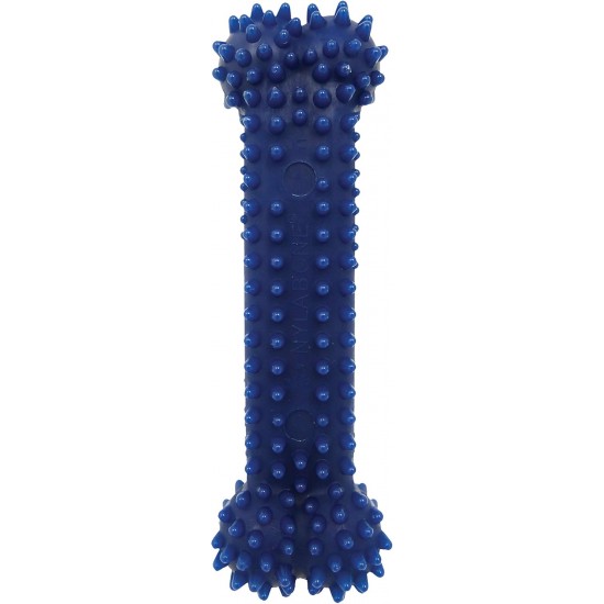 Nylabone, Medium Dental Chew Bone for Dogs, Flexible Chew Bone, Chicken Flavour, Extra Small, Suitable for Dogs up to 7 kg Nylabone, Medium Dental Chew Bone for Dogs, Flexible Chew Bone, Chicken Flavour, Extra Small, Suitable for Dogs up to 7 kg