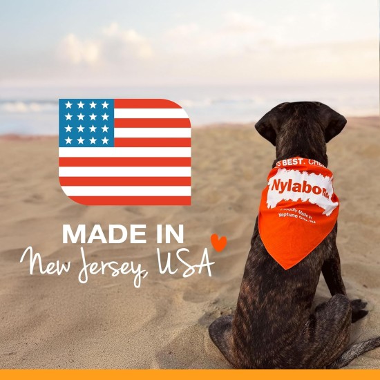 Nylabone, Medium Dental Chew Bone for Dogs, Flexible Chew Bone, Chicken Flavour, Extra Small, Suitable for Dogs up to 7 kg Nylabone, Medium Dental Chew Bone for Dogs, Flexible Chew Bone, Chicken Flavour, Extra Small, Suitable for Dogs up to 7 kg