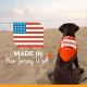 Nylabone, Medium Dental Chew Bone for Dogs, Flexible Chew Bone, Chicken Flavour, Extra Small, Suitable for Dogs up to 7 kg