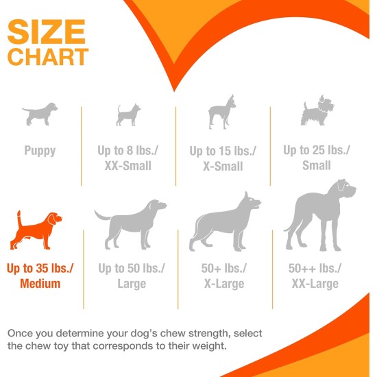 Nylabone Nylabone Dura Chew Textured Beef Jerky Power Chew - Dog Chew Toy for Extreme Chewers - XL Nylabone Nylabone Dura Chew Textured Beef Jerky Power Chew - Dog Chew Toy for Extreme Chewers - XL