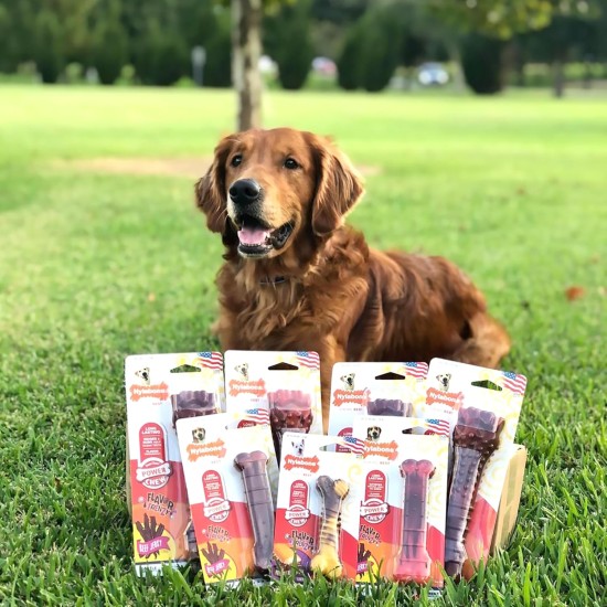 Nylabone Nylabone Dura Chew Textured Beef Jerky Power Chew - Dog Chew Toy for Extreme Chewers - XL Nylabone Nylabone Dura Chew Textured Beef Jerky Power Chew - Dog Chew Toy for Extreme Chewers - XL