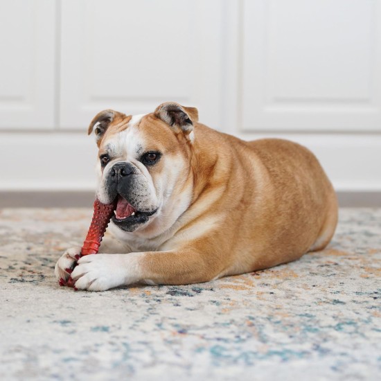 Nylabone Nylabone Dura Chew Textured Beef Jerky Power Chew - Dog Chew Toy for Extreme Chewers - XL Nylabone Nylabone Dura Chew Textured Beef Jerky Power Chew - Dog Chew Toy for Extreme Chewers - XL