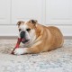 Nylabone Nylabone Dura Chew Textured Beef Jerky Power Chew - Dog Chew Toy for Extreme Chewers - XL Nylabone Nylabone Dura Chew Textured Beef Jerky Power Chew - Dog Chew Toy for Extreme Chewers - XL