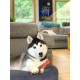 Nylabone Nylabone Dura Chew Textured Beef Jerky Power Chew - Dog Chew Toy for Extreme Chewers - XL Nylabone Nylabone Dura Chew Textured Beef Jerky Power Chew - Dog Chew Toy for Extreme Chewers - XL