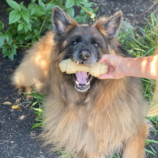 Nylabone Power Chew Textured Monster Bone, Bison - Dog Chew Toy for Extreme Chewers - XXL Nylabone Power Chew Textured Monster Bone, Bison - Dog Chew Toy for Extreme Chewers - XXL