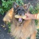 Nylabone Power Chew Textured Monster Bone, Bison - Dog Chew Toy for Extreme Chewers - XXL Nylabone Power Chew Textured Monster Bone, Bison - Dog Chew Toy for Extreme Chewers - XXL