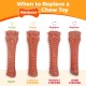 Nylabone Pro-Action Dental Chew, Medium
