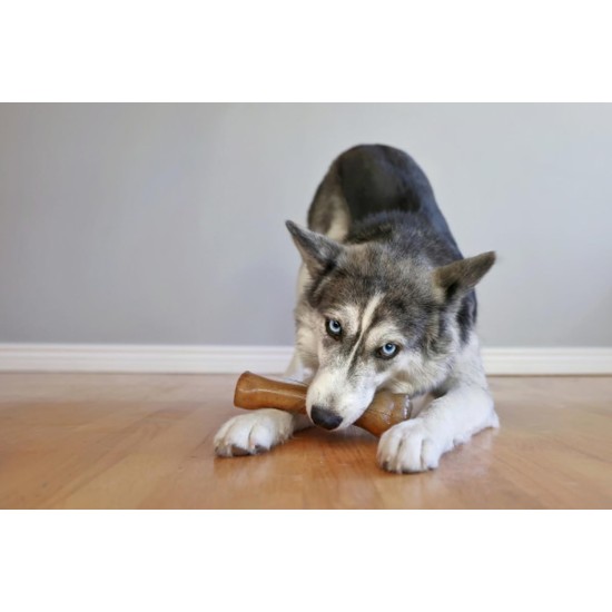 Nylabone Puppy Bone - Wolf Nylabone Puppy Bone - Wolf