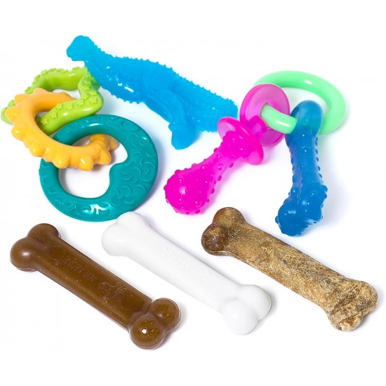 Nylabone Puppy Bone - Wolf Nylabone Puppy Bone - Wolf