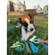 Nylabone Puppy Bone - Wolf