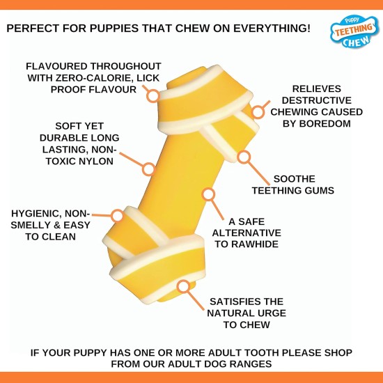 Nylabone, Puppy Chew Bone and Dental Care Toy for Teething Puppies, Soothing Chew Bone, for Extra Small Puppies up to 7 kg, for Gentle Chewing/Teething Dogs, Beef Flavour Nylabone, Puppy Chew Bone and Dental Care Toy for Teething Puppies, Soothing Chew Bone, for Extra Small Puppies up to 7 kg, for Gentle Chewing/Teething Dogs, Beef Flavour