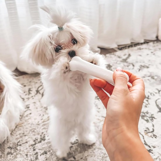 Nylabone, Puppy Chew Bone and Dental Care Toy for Teething Puppies, Soothing Chew Bone for Small Puppies up to 11 kg, for Gentle Chewing/Teething Dogs, Chicken and Peanut Butter, Pack of 2, Extra Nylabone, Puppy Chew Bone and Dental Care Toy for Teething Puppies, Soothing Chew Bone for Small Puppies up to 11 kg, for Gentle Chewing/Teething Dogs, Chicken and Peanut Butter, Pack of 2, Extra