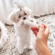 Nylabone, Puppy Chew Bone and Dental Care Toy for Teething Puppies, Soothing Chew Bone for Small Puppies up to 11 kg, for Gentle Chewing/Teething Dogs, Chicken and Peanut Butter, Pack of 2, Extra Nylabone, Puppy Chew Bone and Dental Care Toy for Teething Puppies, Soothing Chew Bone for Small Puppies up to 11 kg, for Gentle Chewing/Teething Dogs, Chicken and Peanut Butter, Pack of 2, Extra