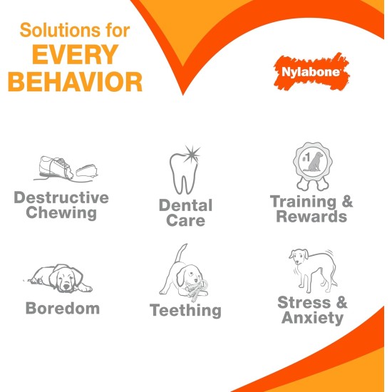 Nylabone, Puppy Chew Bone and Dental Care Toy for Teething Puppies, Soothing Chew Bone for Small Puppies up to 11 kg, for Gentle Chewing/Teething Dogs, Chicken and Peanut Butter, Pack of 2, Extra Nylabone, Puppy Chew Bone and Dental Care Toy for Teething Puppies, Soothing Chew Bone for Small Puppies up to 11 kg, for Gentle Chewing/Teething Dogs, Chicken and Peanut Butter, Pack of 2, Extra