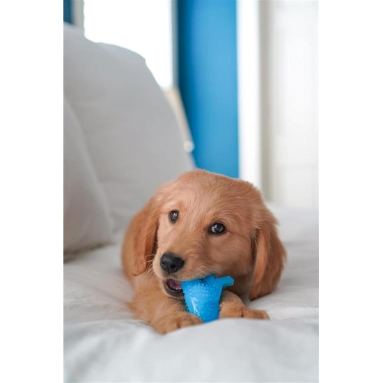 Nylabone, Puppy Chew Bone and Dental Care Toy for Teething Puppies, Soothing Chew Bone for Small Puppies up to 11 kg, for Gentle Chewing/Teething Dogs, Chicken Flavour, Dinosaur Shaped Nylabone, Puppy Chew Bone and Dental Care Toy for Teething Puppies, Soothing Chew Bone for Small Puppies up to 11 kg, for Gentle Chewing/Teething Dogs, Chicken Flavour, Dinosaur Shaped
