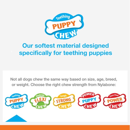 Nylabone, Puppy Chew Bone and Dental Care Toy for Teething Puppies, Soothing Chew Bone for Small Puppies up to 11 kg, for Gentle Chewing/Teething Dogs, Chicken Flavour, Dinosaur Shaped Nylabone, Puppy Chew Bone and Dental Care Toy for Teething Puppies, Soothing Chew Bone for Small Puppies up to 11 kg, for Gentle Chewing/Teething Dogs, Chicken Flavour, Dinosaur Shaped