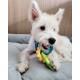 Nylabone, Puppy Chew Toy and Dental Care Toy for Teething Puppies Chew Toys for Small Puppies up to 11 kg, Gently Chewing/Teething Dogs, Bacon Flavour, Toy Ring for Puppies Nylabone, Puppy Chew Toy and Dental Care Toy for Teething Puppies Chew Toys for Small Puppies up to 11 kg, Gently Chewing/Teething Dogs, Bacon Flavour, Toy Ring for Puppies