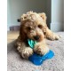 Nylabone, Puppy Chew Toy and Dental Care Toy for Teething Puppies Chew Toys for Small Puppies up to 11 kg, Gently Chewing/Teething Dogs, Bacon Flavour, Toy Ring for Puppies Nylabone, Puppy Chew Toy and Dental Care Toy for Teething Puppies Chew Toys for Small Puppies up to 11 kg, Gently Chewing/Teething Dogs, Bacon Flavour, Toy Ring for Puppies