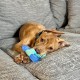Nylabone, Puppy Cooling Bone and Dental Care Toy for Teething Puppies, Soothing Chew Toy for Small Puppies up to 11 kg, for Gentle Chewing/Teething Dogs, Peanut Butter Flavour Nylabone, Puppy Cooling Bone and Dental Care Toy for Teething Puppies, Soothing Chew Toy for Small Puppies up to 11 kg, for Gentle Chewing/Teething Dogs, Peanut Butter Flavour
