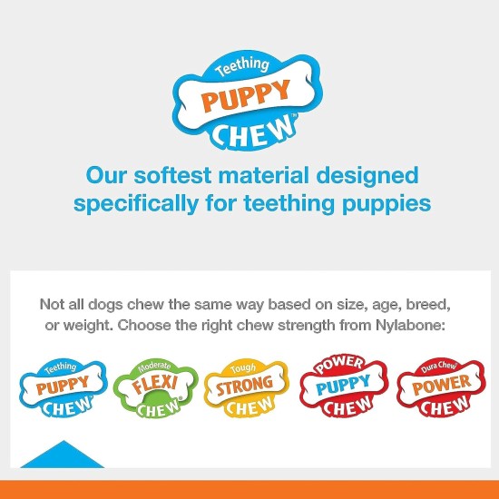 Nylabone, Puppy Cooling Bone and Dental Care Toy for Teething Puppies, Soothing Chew Toy for Small Puppies up to 11 kg, for Gentle Chewing/Teething Dogs, Peanut Butter Flavour Nylabone, Puppy Cooling Bone and Dental Care Toy for Teething Puppies, Soothing Chew Toy for Small Puppies up to 11 kg, for Gentle Chewing/Teething Dogs, Peanut Butter Flavour