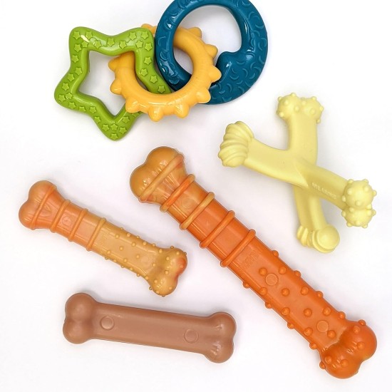 Nylabone, Puppy Cooling Bone and Dental Care Toy for Teething Puppies, Soothing Chew Toy for Small Puppies up to 11 kg, for Gentle Chewing/Teething Dogs, Peanut Butter Flavour Nylabone, Puppy Cooling Bone and Dental Care Toy for Teething Puppies, Soothing Chew Toy for Small Puppies up to 11 kg, for Gentle Chewing/Teething Dogs, Peanut Butter Flavour