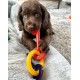Nylabone, Puppy Cooling Bone and Dental Care Toy for Teething Puppies, Soothing Chew Toy for Small Puppies up to 11 kg, for Gentle Chewing/Teething Dogs, Peanut Butter Flavour Nylabone, Puppy Cooling Bone and Dental Care Toy for Teething Puppies, Soothing Chew Toy for Small Puppies up to 11 kg, for Gentle Chewing/Teething Dogs, Peanut Butter Flavour