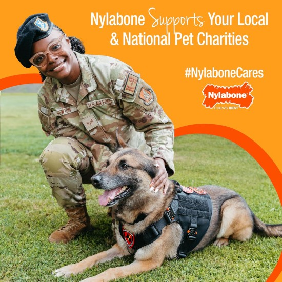 Nylabone, Puppy Cooling Bone and Dental Care Toy for Teething Puppies, Soothing Chew Toy for Small Puppies up to 11 kg, for Gentle Chewing/Teething Dogs, Peanut Butter Flavour Nylabone, Puppy Cooling Bone and Dental Care Toy for Teething Puppies, Soothing Chew Toy for Small Puppies up to 11 kg, for Gentle Chewing/Teething Dogs, Peanut Butter Flavour