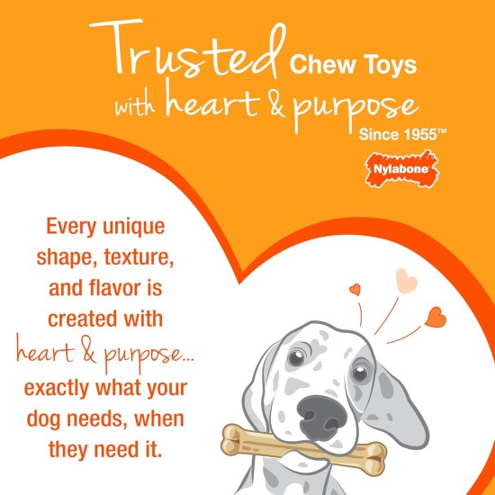 Nylabone, Puppy Cooling Bone and Dental Care Toy for Teething Puppies, Soothing Chew Toy for Small Puppies up to 11 kg, for Gentle Chewing/Teething Dogs, Peanut Butter Flavour Nylabone, Puppy Cooling Bone and Dental Care Toy for Teething Puppies, Soothing Chew Toy for Small Puppies up to 11 kg, for Gentle Chewing/Teething Dogs, Peanut Butter Flavour