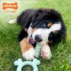 Nylabone, Puppy Teether Sensory Chew Toy Chicken Small - For Puppies up to 11kg