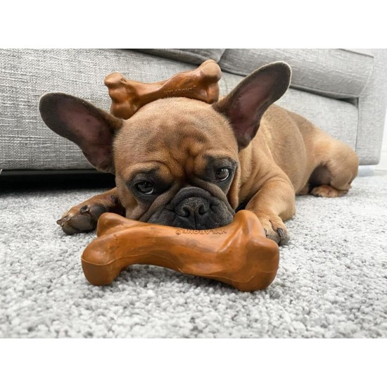 Nylabone Strong Bone Beef and Gravy Dog Chew Nylabone Strong Bone Beef and Gravy Dog Chew