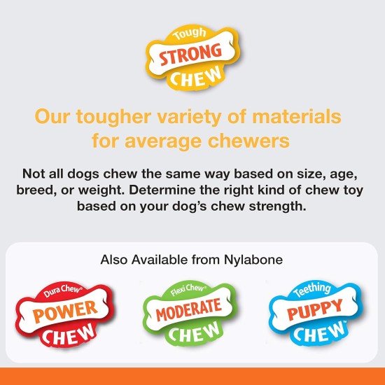Nylabone Strong Bone Beef and Gravy Dog Chew Nylabone Strong Bone Beef and Gravy Dog Chew