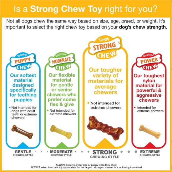Nylabone Strong Bone Beef and Gravy Dog Chew Nylabone Strong Bone Beef and Gravy Dog Chew