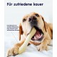 Petstages Chick-A-Bone - Hunde-Kauknoche - Kauspielzeug mit Hühnchengeschmack - Größe S