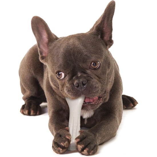 Petstages Chick-A-Bone - Hunde-Kauknoche - Kauspielzeug mit Hühnchengeschmack - Größe S Petstages Chick-A-Bone - Hunde-Kauknoche - Kauspielzeug mit Hühnchengeschmack - Größe S