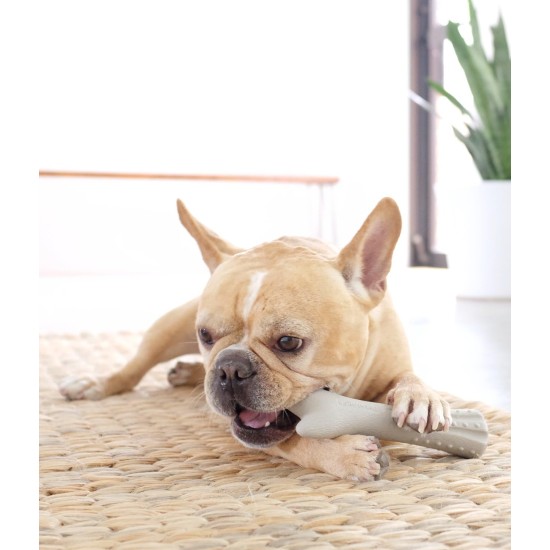 Petstages Chick-A-Bone - Hunde-Kauknoche - Kauspielzeug mit Hühnchengeschmack - Größe S Petstages Chick-A-Bone - Hunde-Kauknoche - Kauspielzeug mit Hühnchengeschmack - Größe S