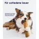 Petstages Chick-A-Bone - Hunde-Kauknoche - Kauspielzeug mit Hühnchengeschmack - Größe S